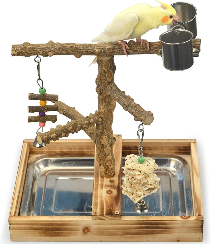 Natural Wood Bird Toys Playground