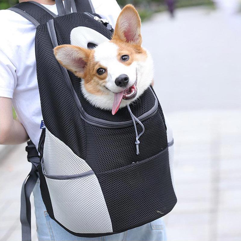 Backpack Pet Carrier