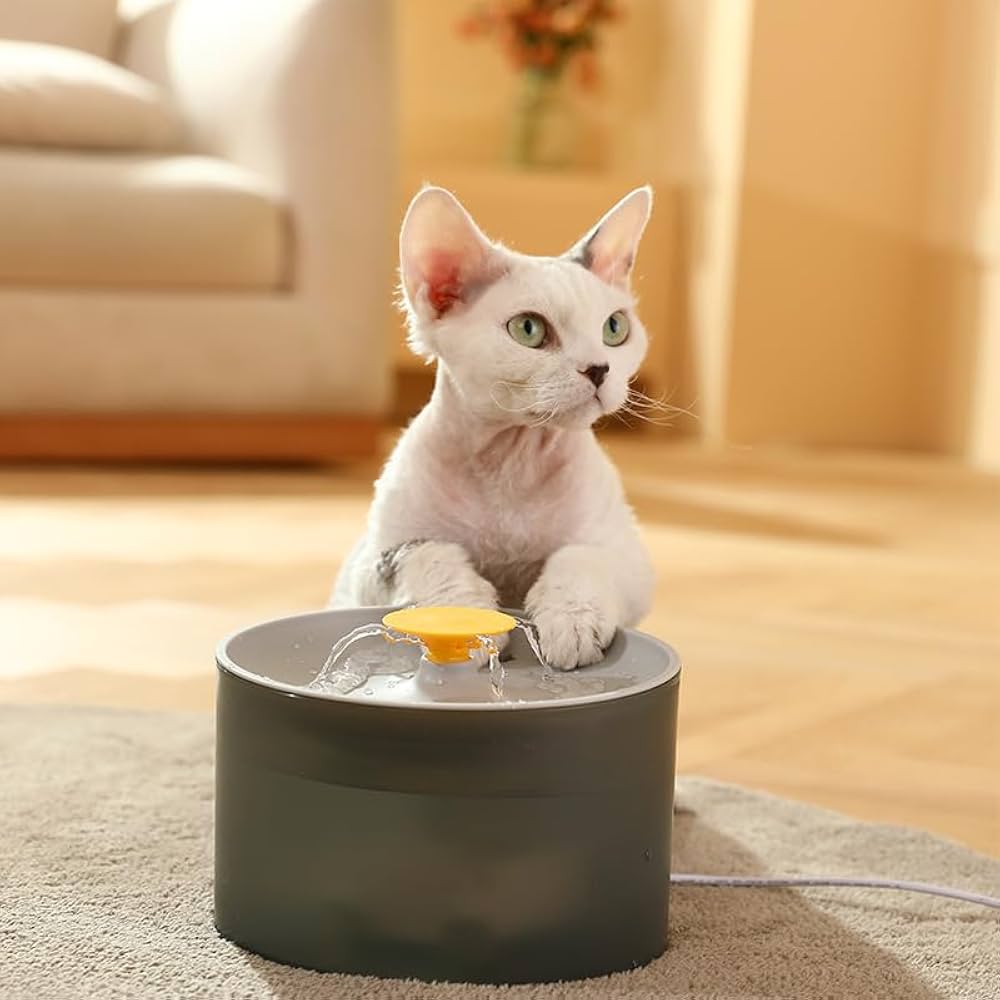 Pet Water Fountain