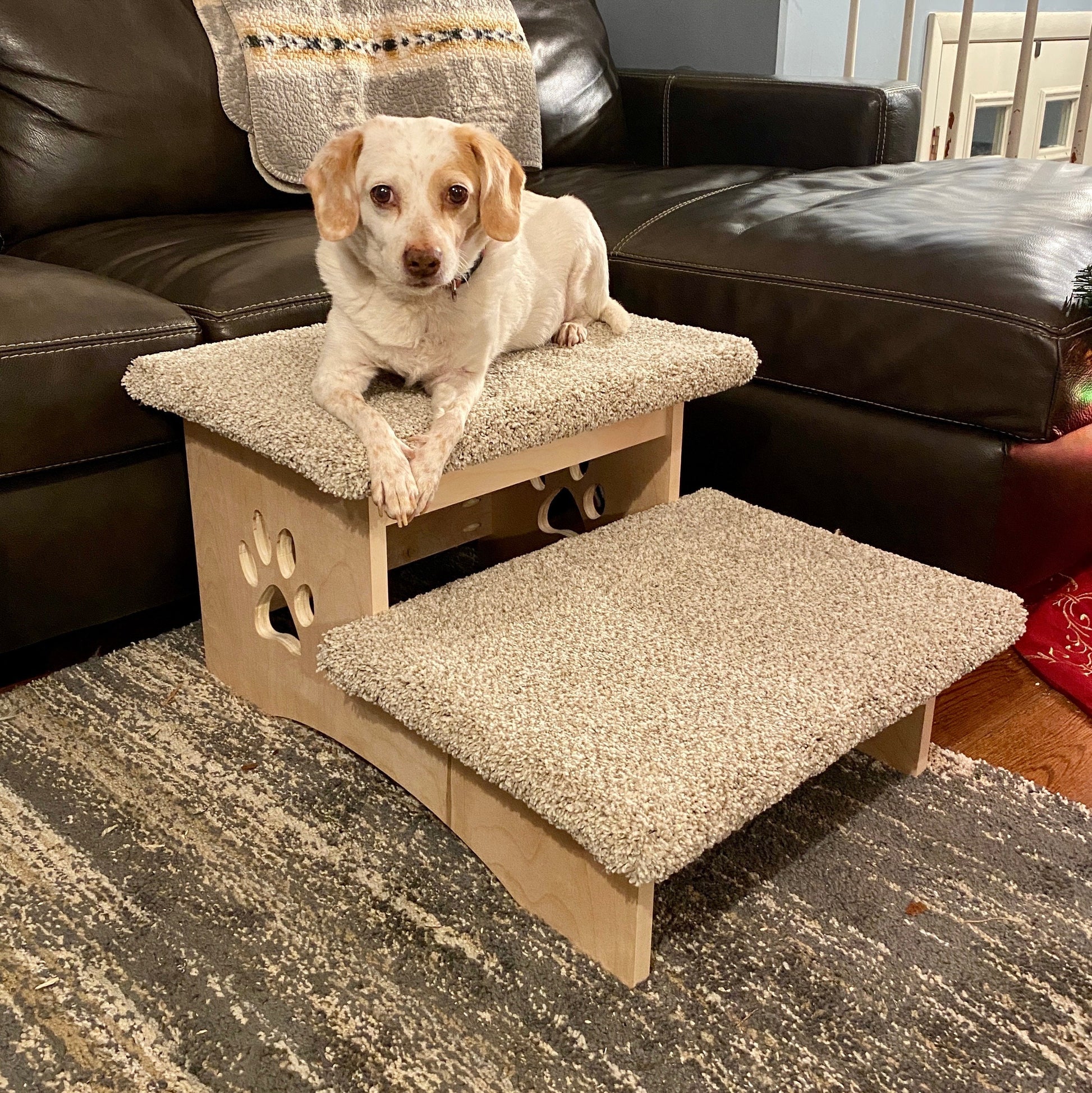 Pet Stairs