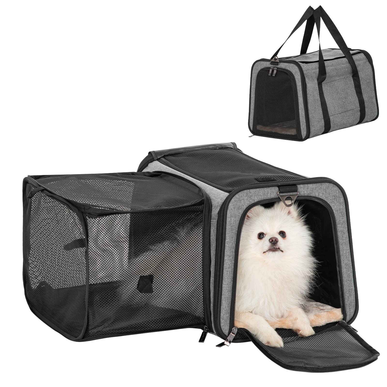 Pet Carrier
