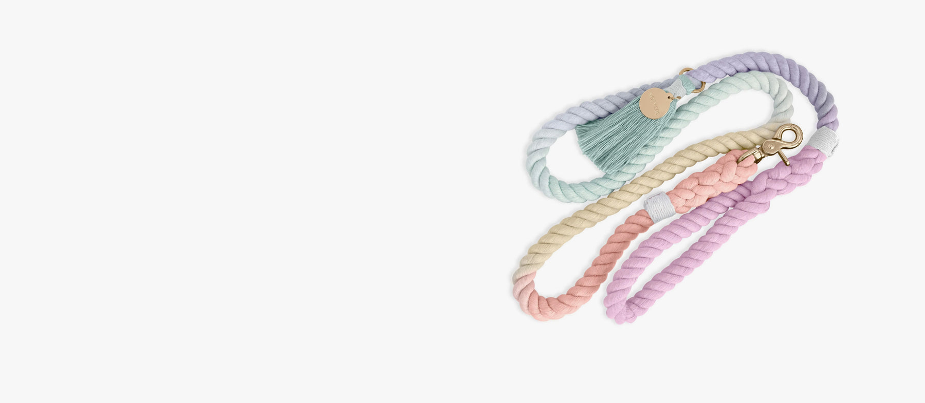 pet toys and play accessories